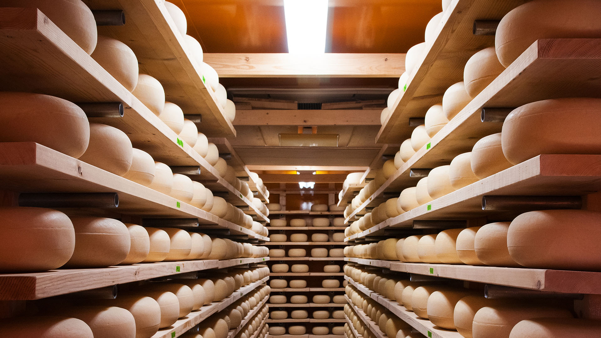 Rows of shelving containing large wheels of aging cheese.
