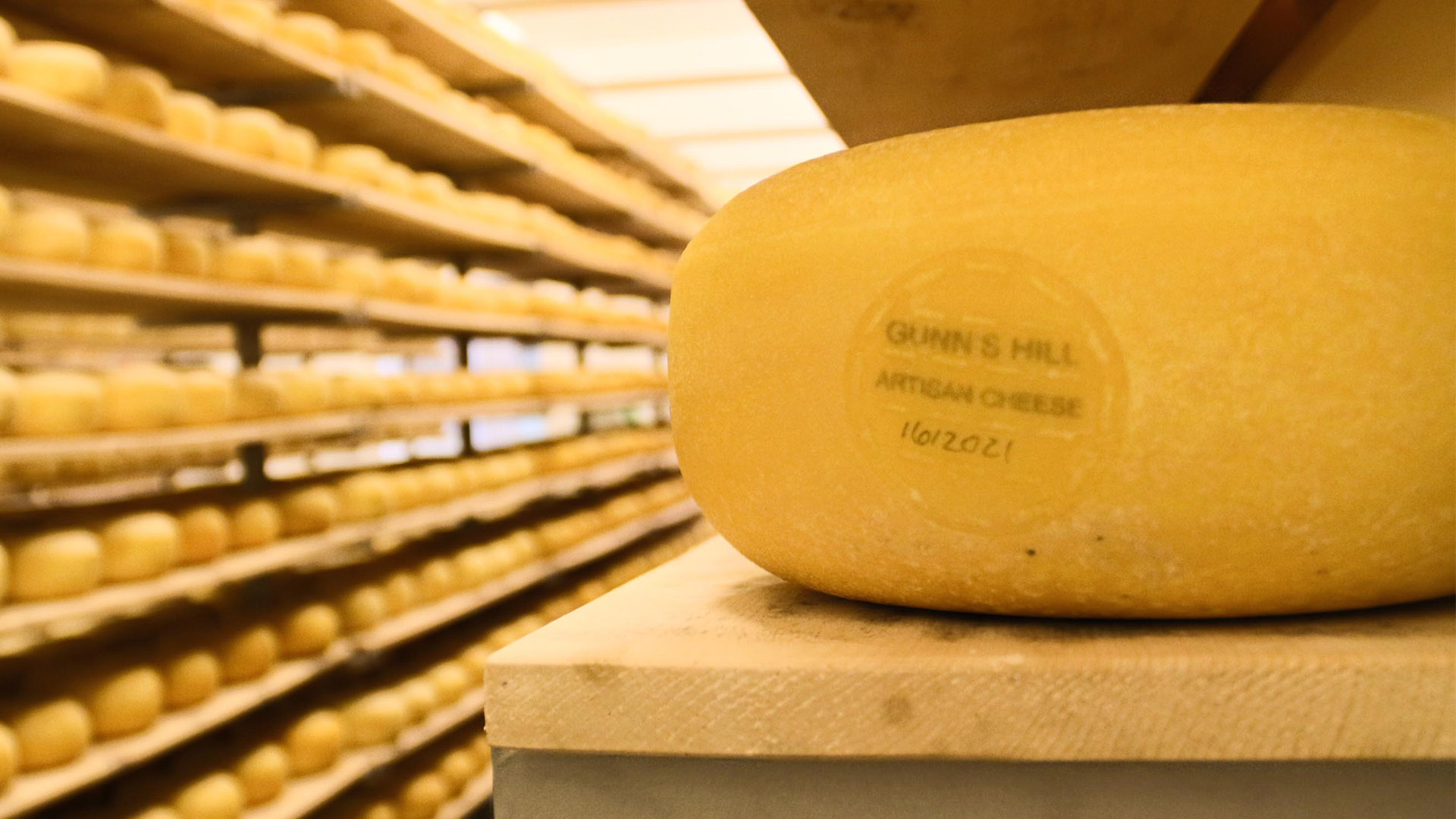 A close up of a large wheel of aging cheese on a shelf next to other large wheels of aging cheese with a stamp on it that reads 