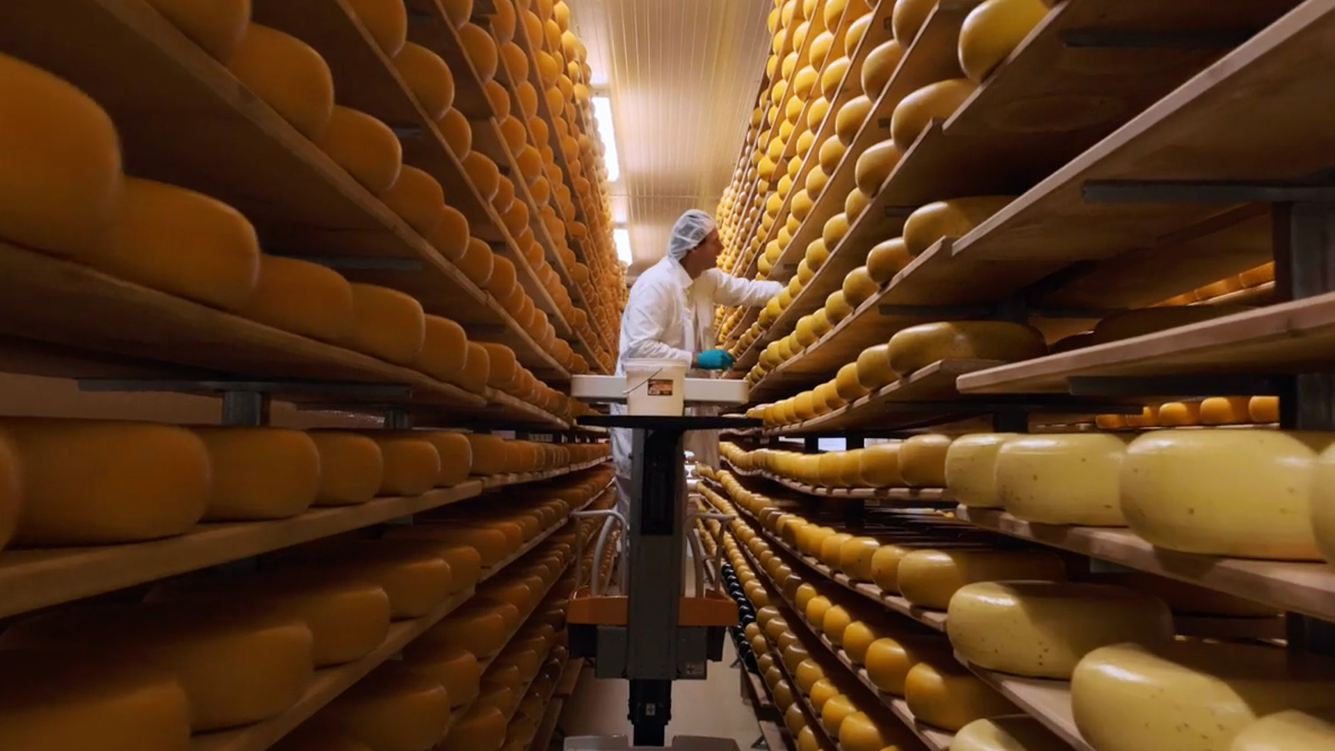 A cheesemaker checking on wheels of cheese in a warehouse. 