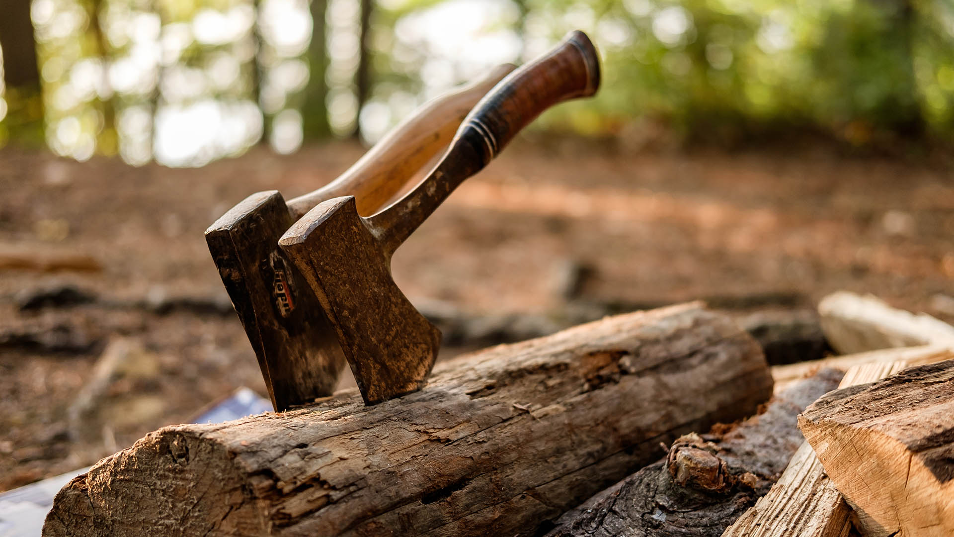 Two axes side by side in a log in a forest.